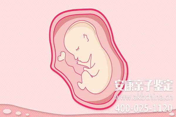 金华怀孕期间做亲子鉴定吗,怀孕如何做亲子鉴定吗 